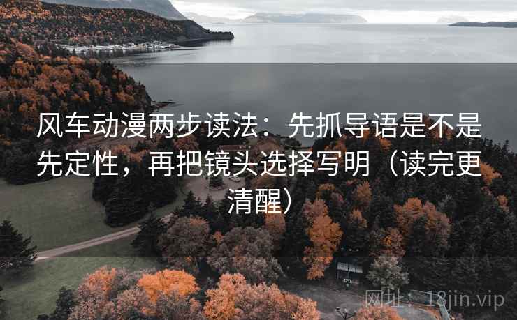 风车动漫两步读法：先抓导语是不是先定性，再把镜头选择写明（读完更清醒）